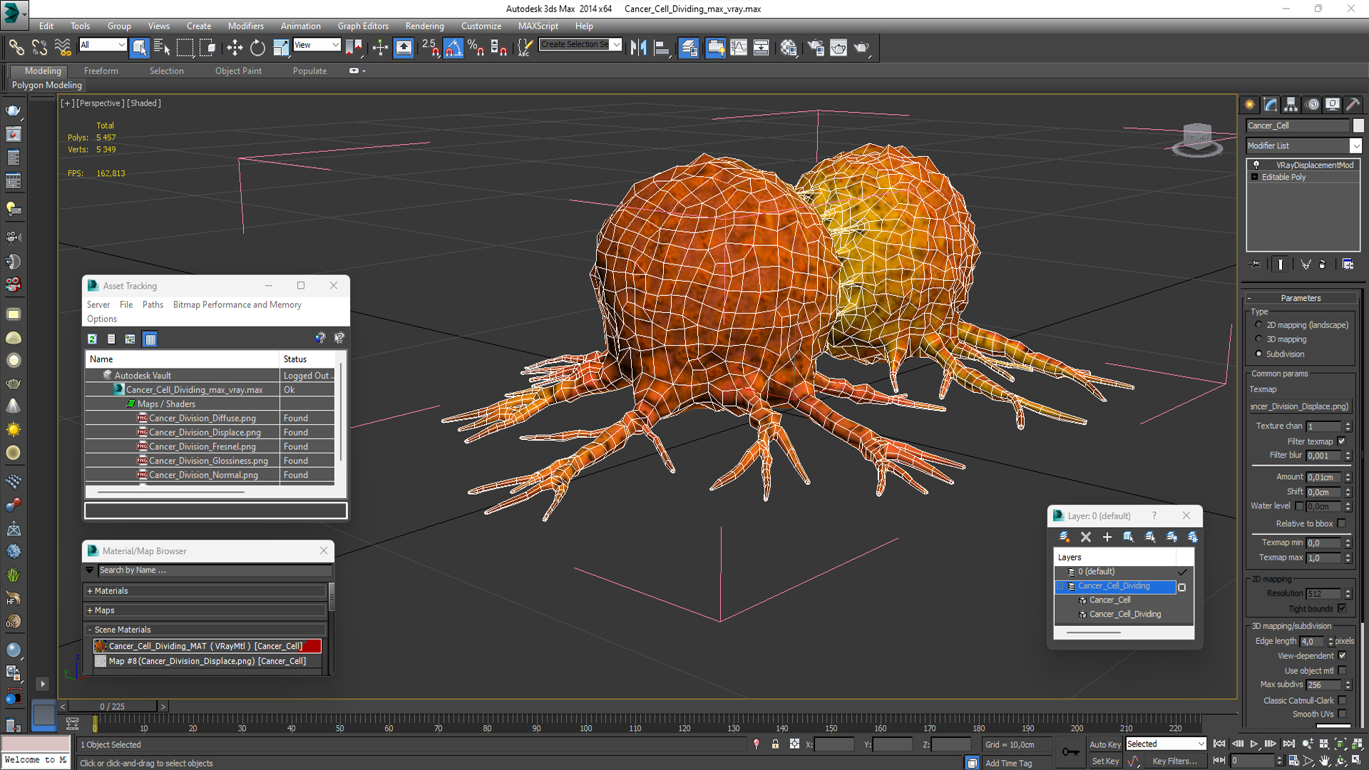 3D model Cancer Cell Dividing