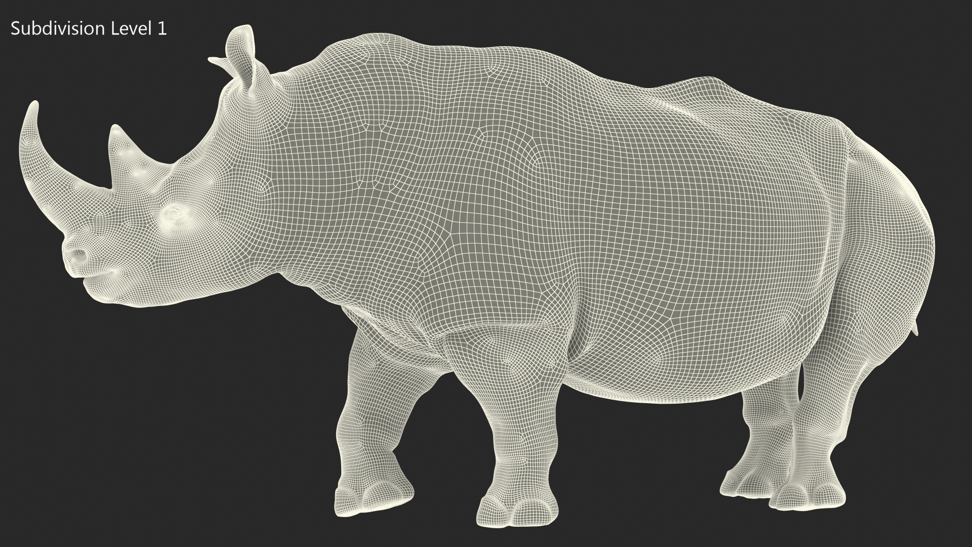 Rhino Standing Pose 3D model