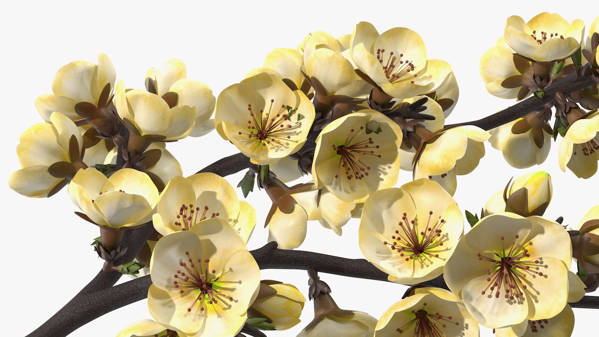 3D Tree Branch with Yellow Flowers