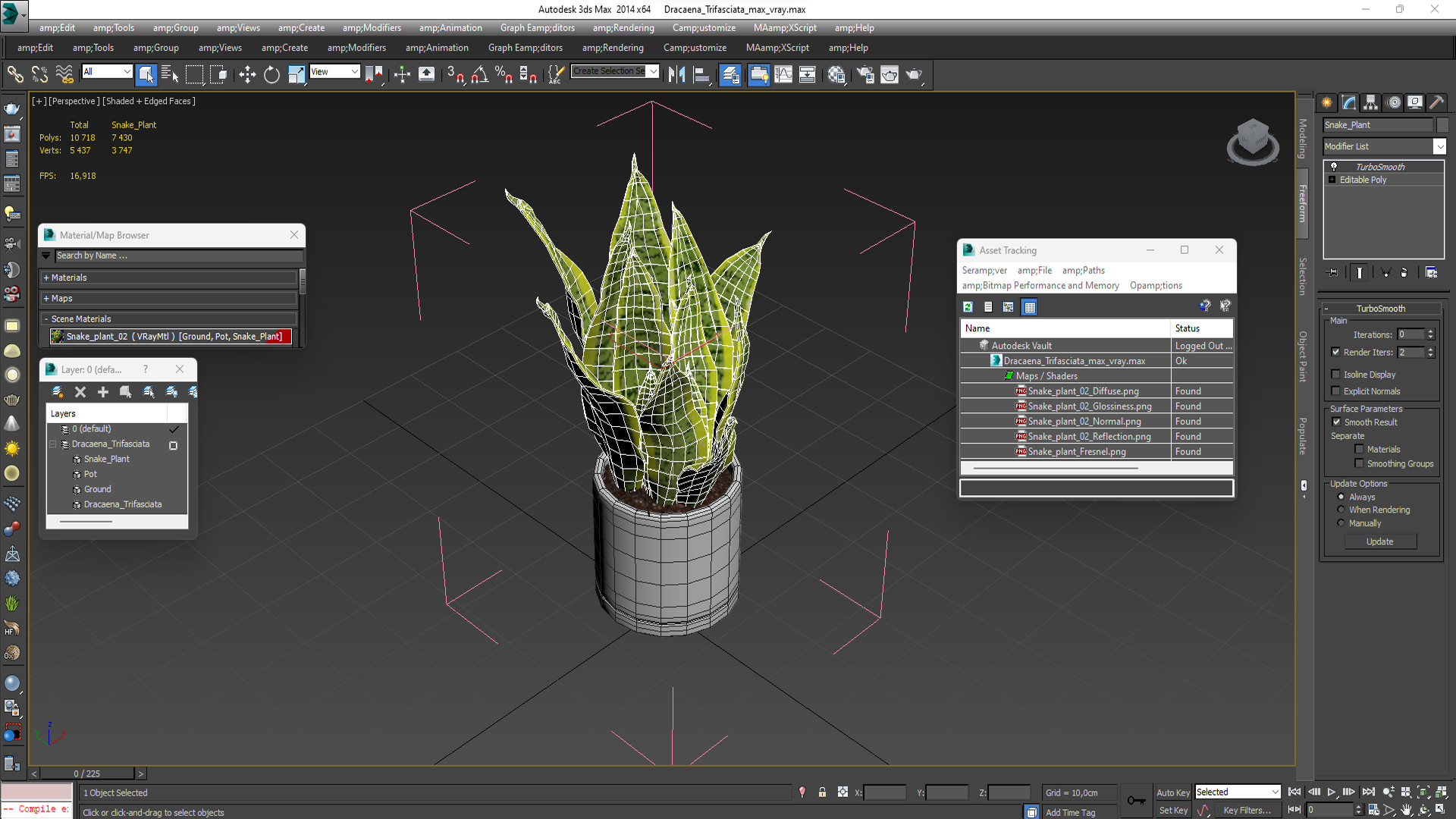 3D model Dracaena Trifasciata