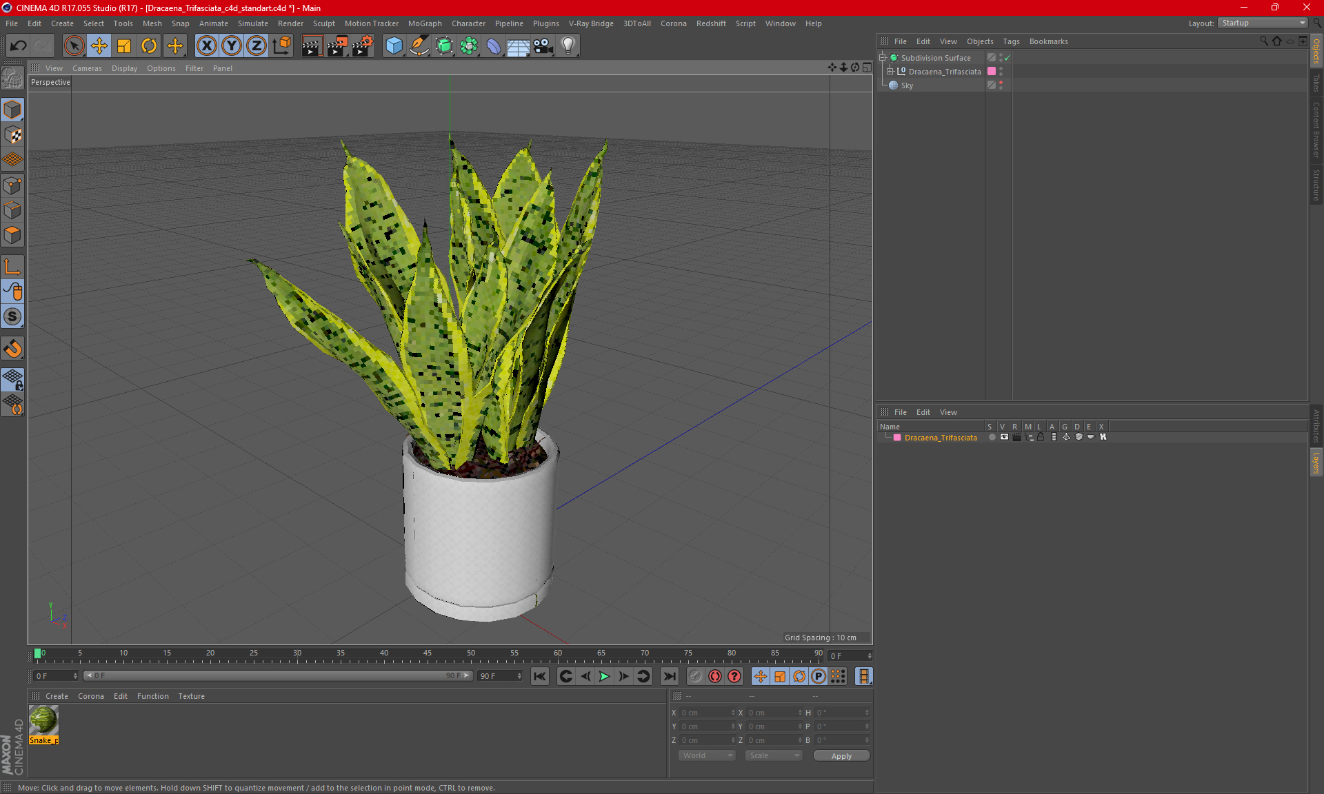 3D model Dracaena Trifasciata