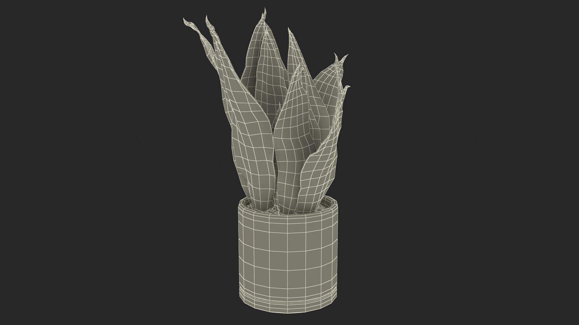 3D model Dracaena Trifasciata