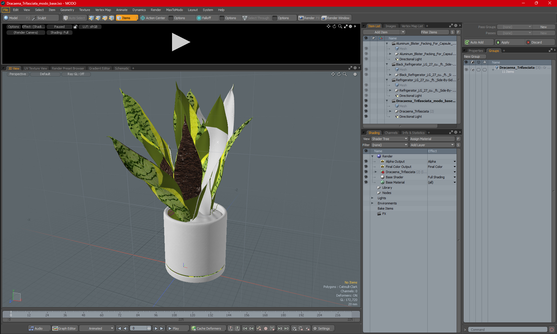 3D model Dracaena Trifasciata