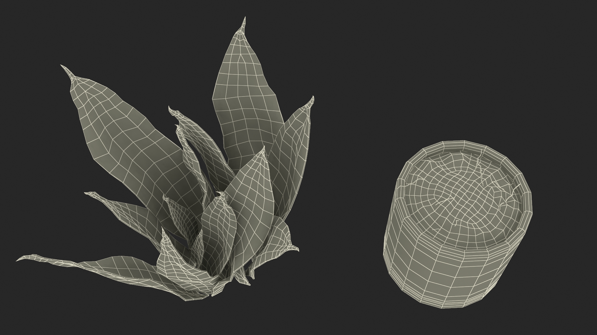 3D model Dracaena Trifasciata