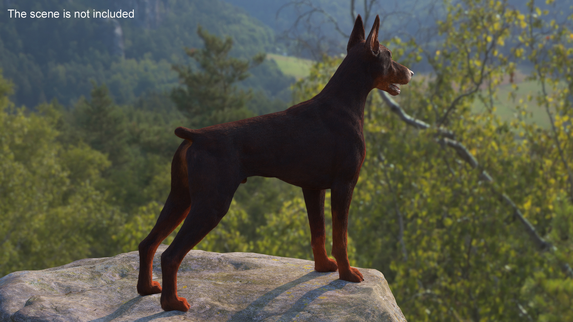 Brown Doberman Pinscher Fur Rigged 3D model