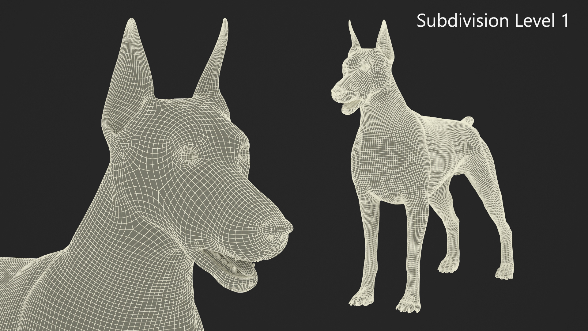 Brown Doberman Pinscher Fur Rigged 3D model