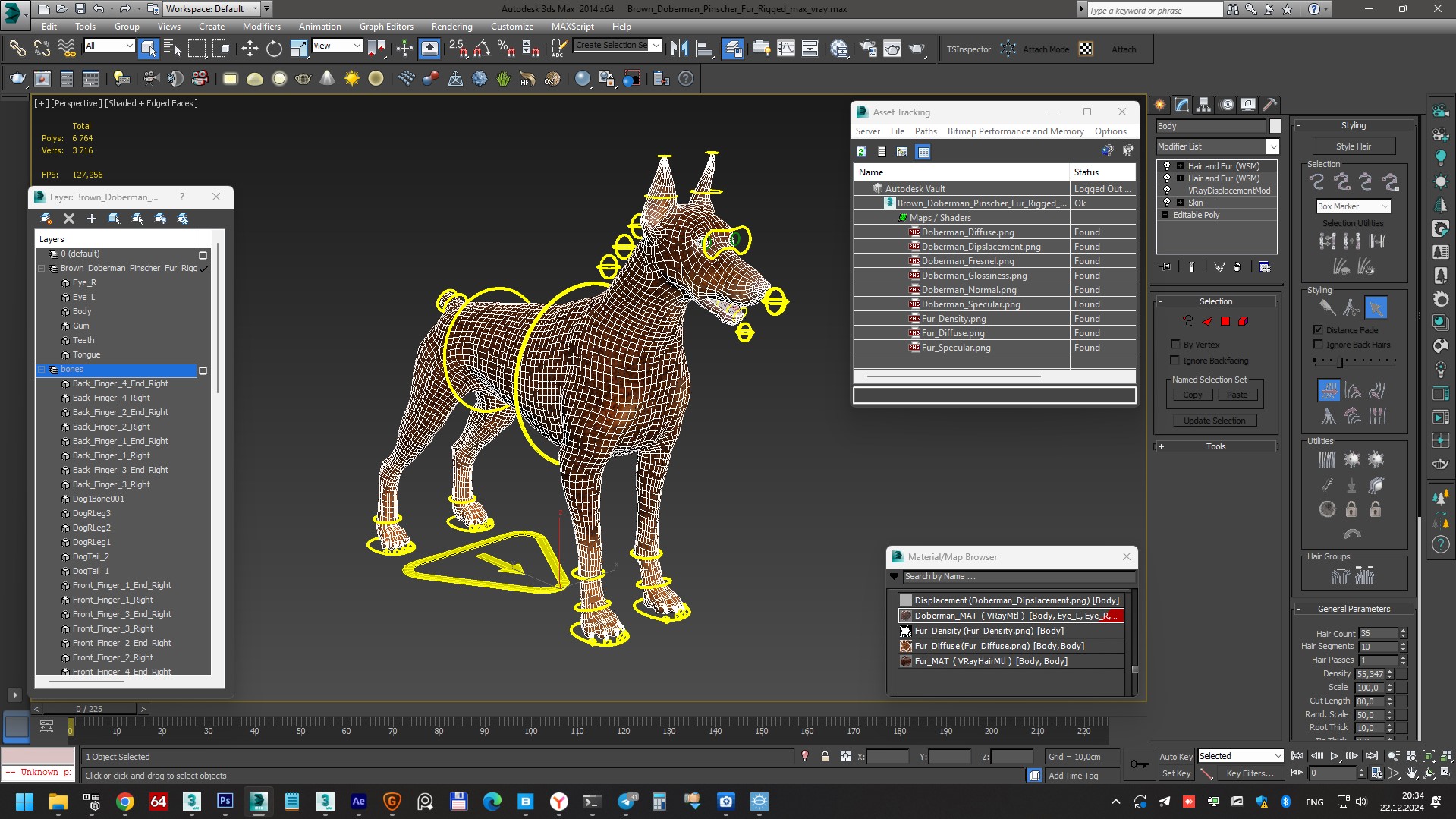 Brown Doberman Pinscher Fur Rigged 3D model