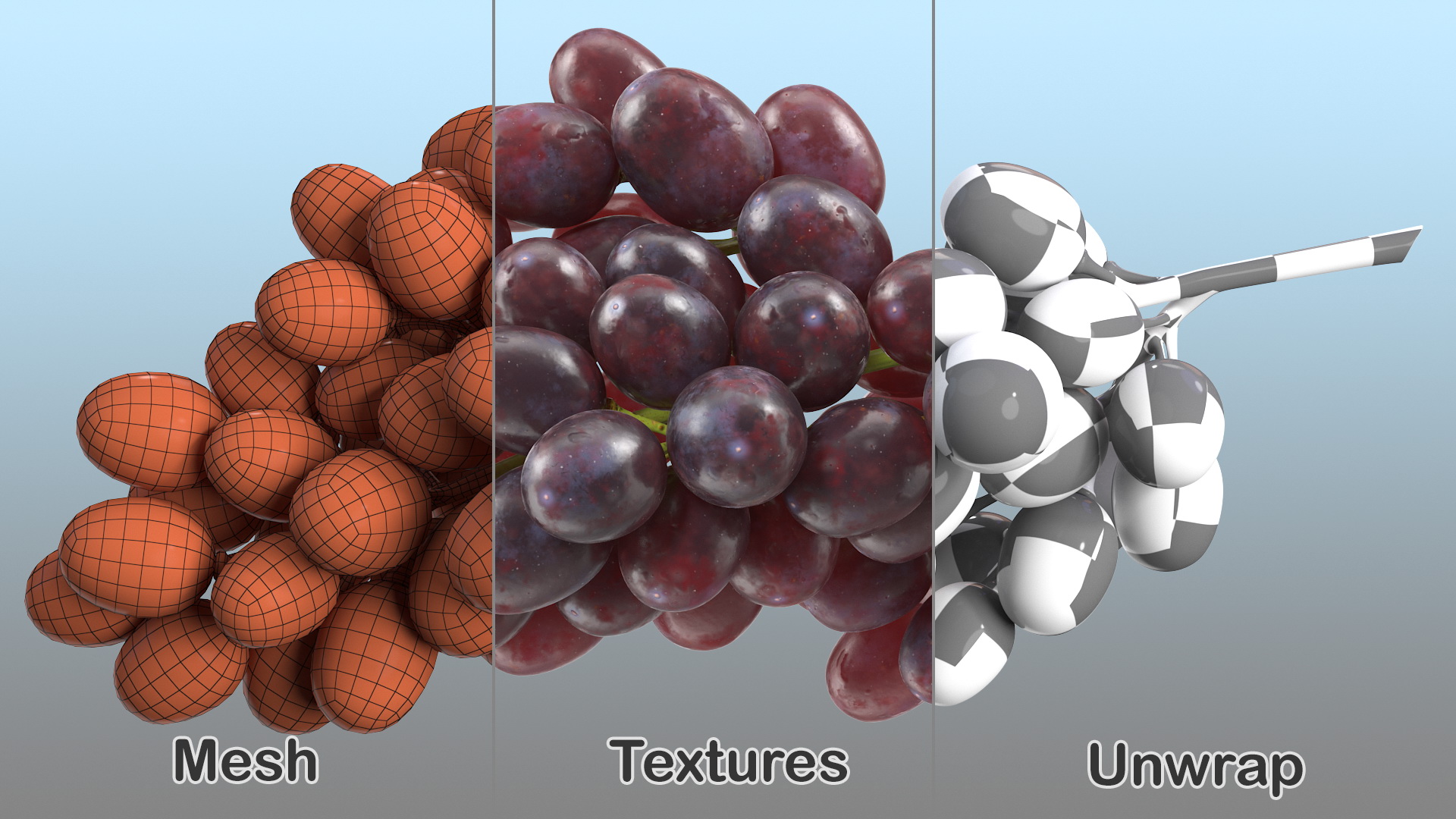 Cluster of Dark Grapes 3D