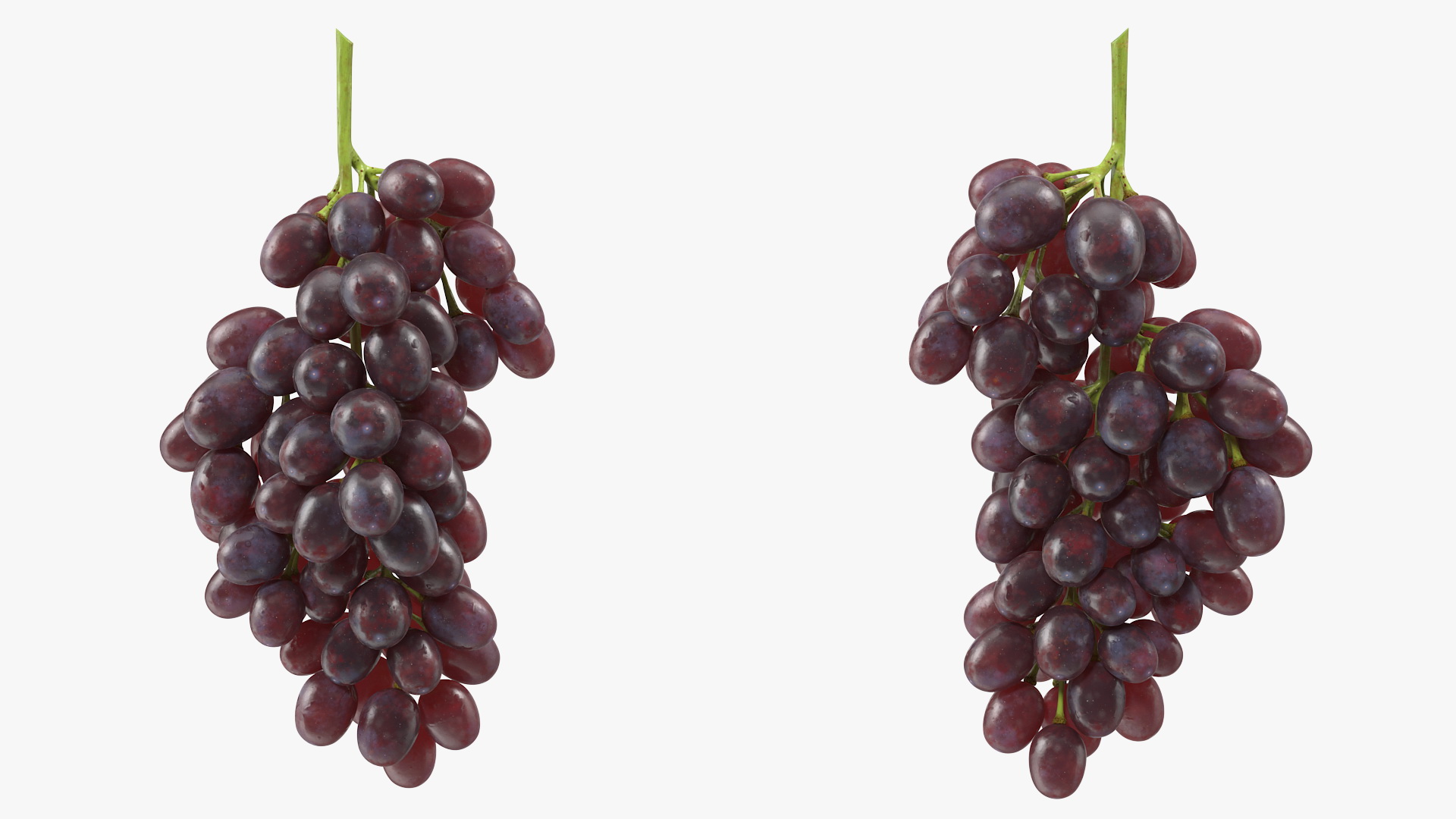 Cluster of Dark Grapes 3D