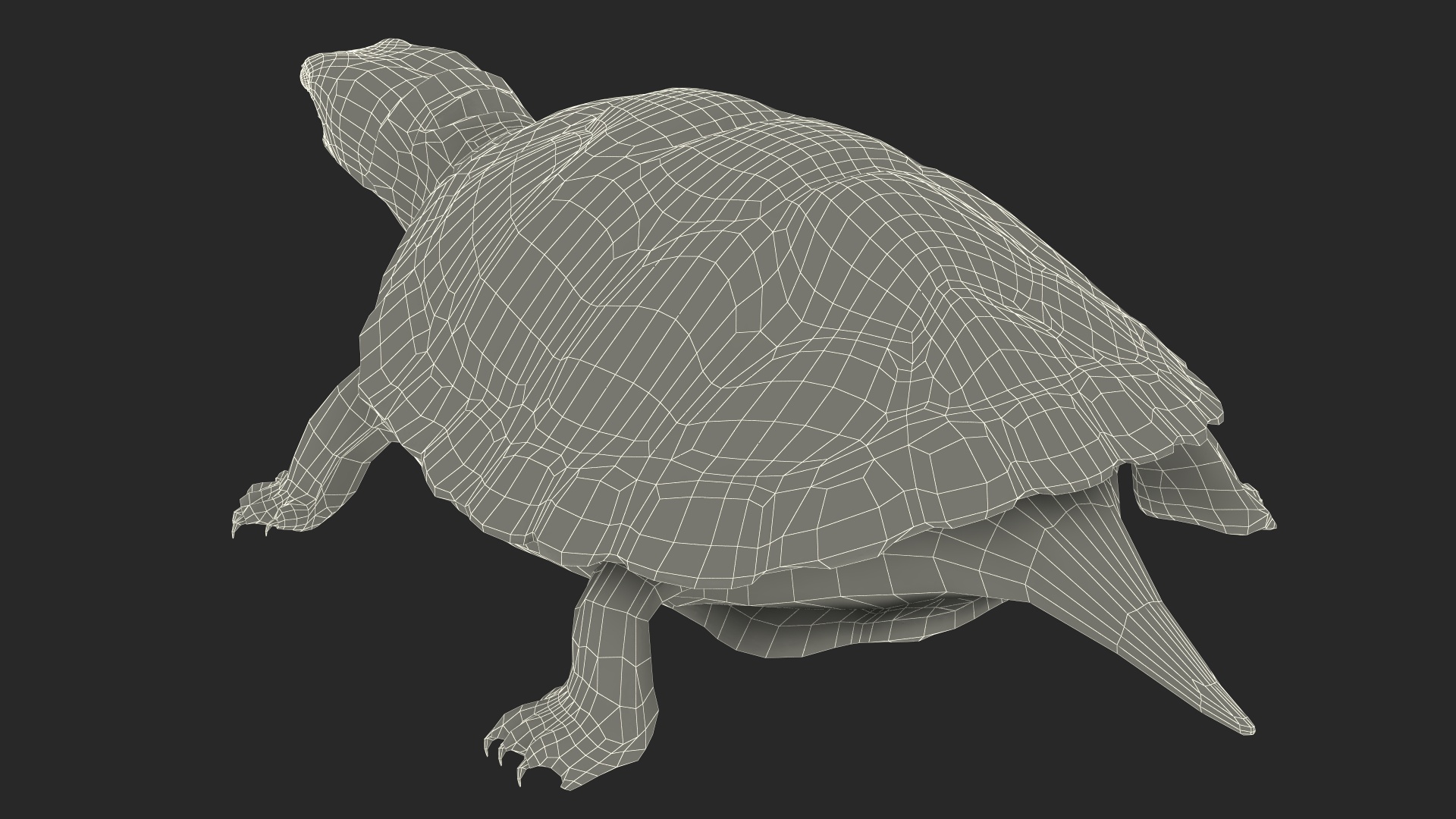 3D Red Eared Slider