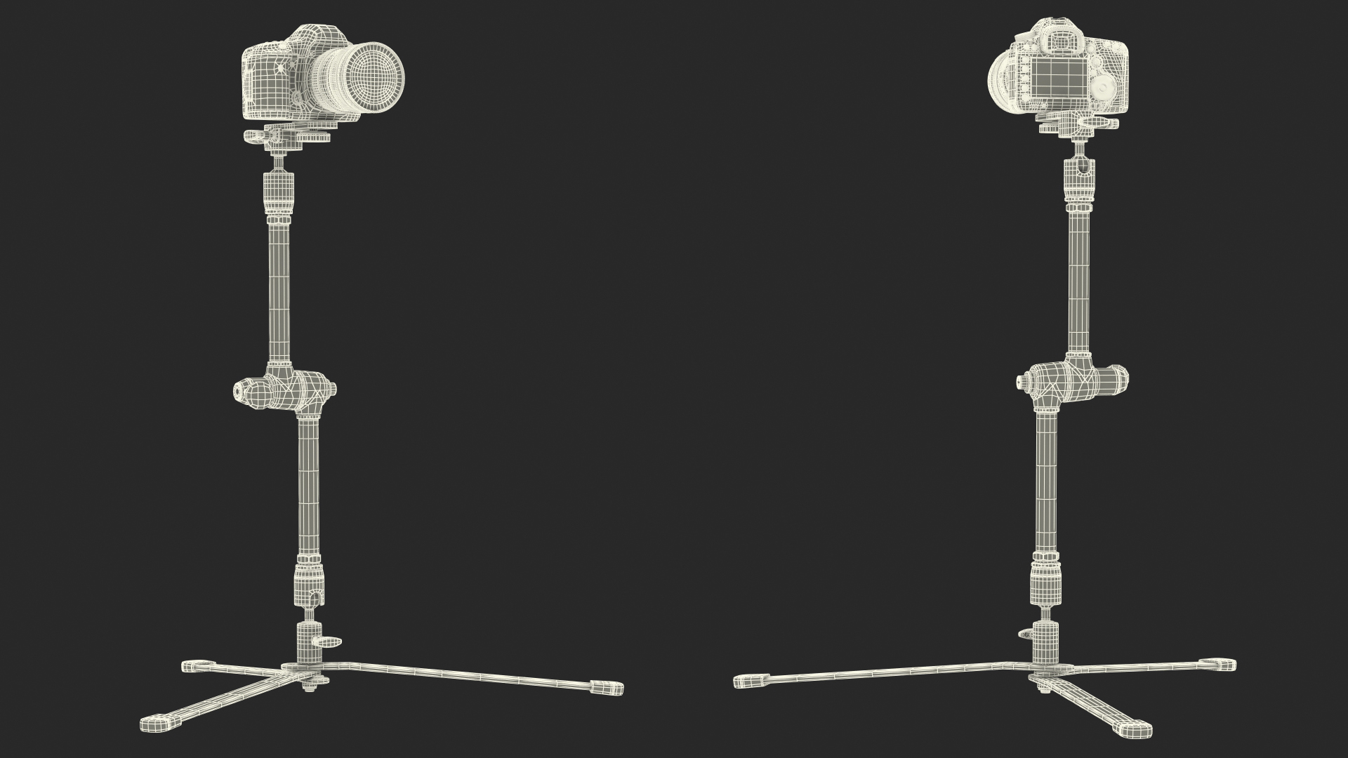 Photo Arm Kit with Camera Rigged 3D