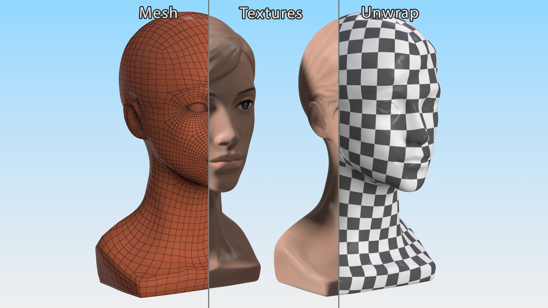 Plastic Female Mannequin Head with Hair 3D model