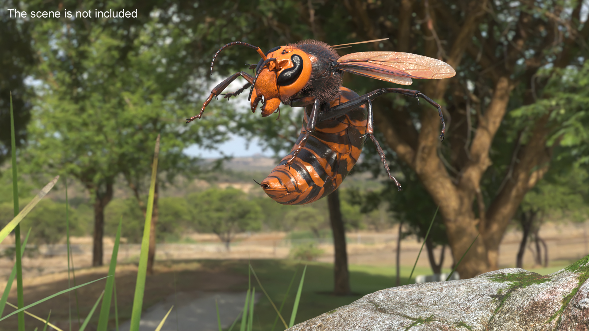 Northern Giant Hornet Fur Attack Pose 3D