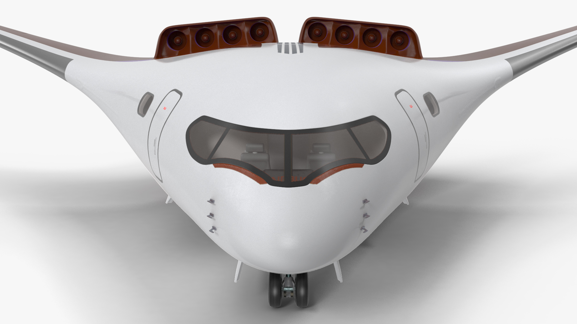 Ecological Aircraft Blended-Wing Body 3D