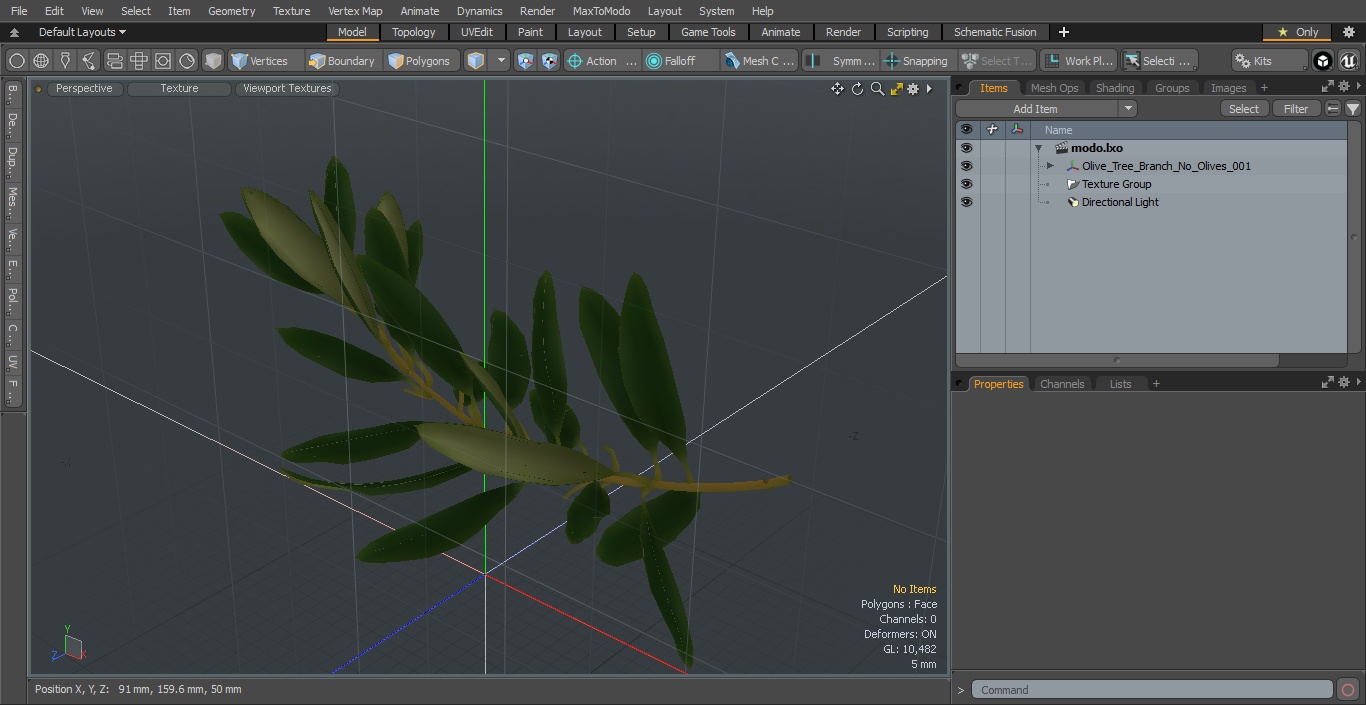 Olive Tree Branch No Olives 3D