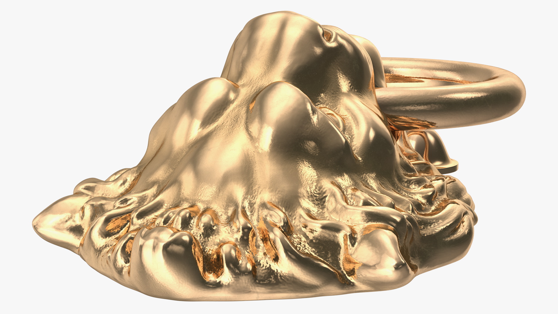 Lion Head Door Knocker Gold 3D