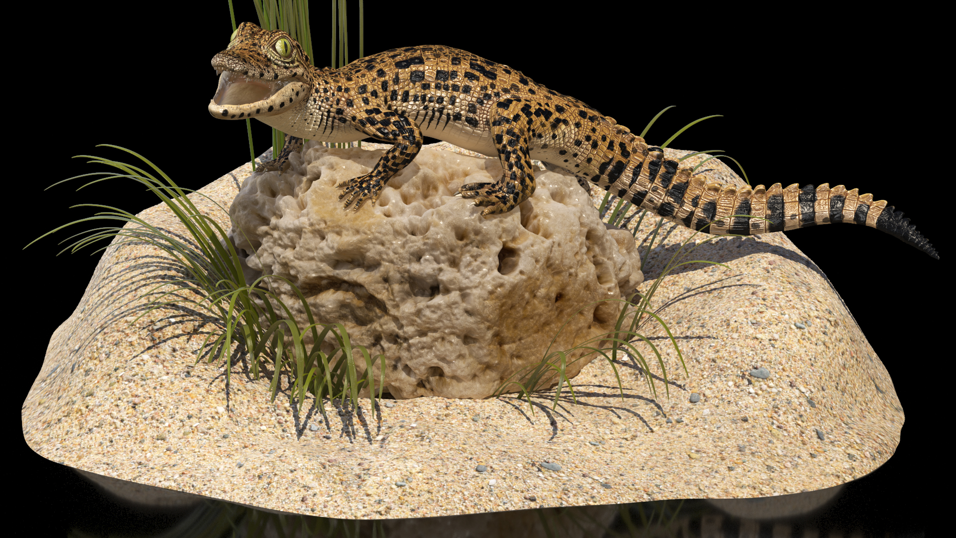 Baby Crocodile Natural Environment 3D model