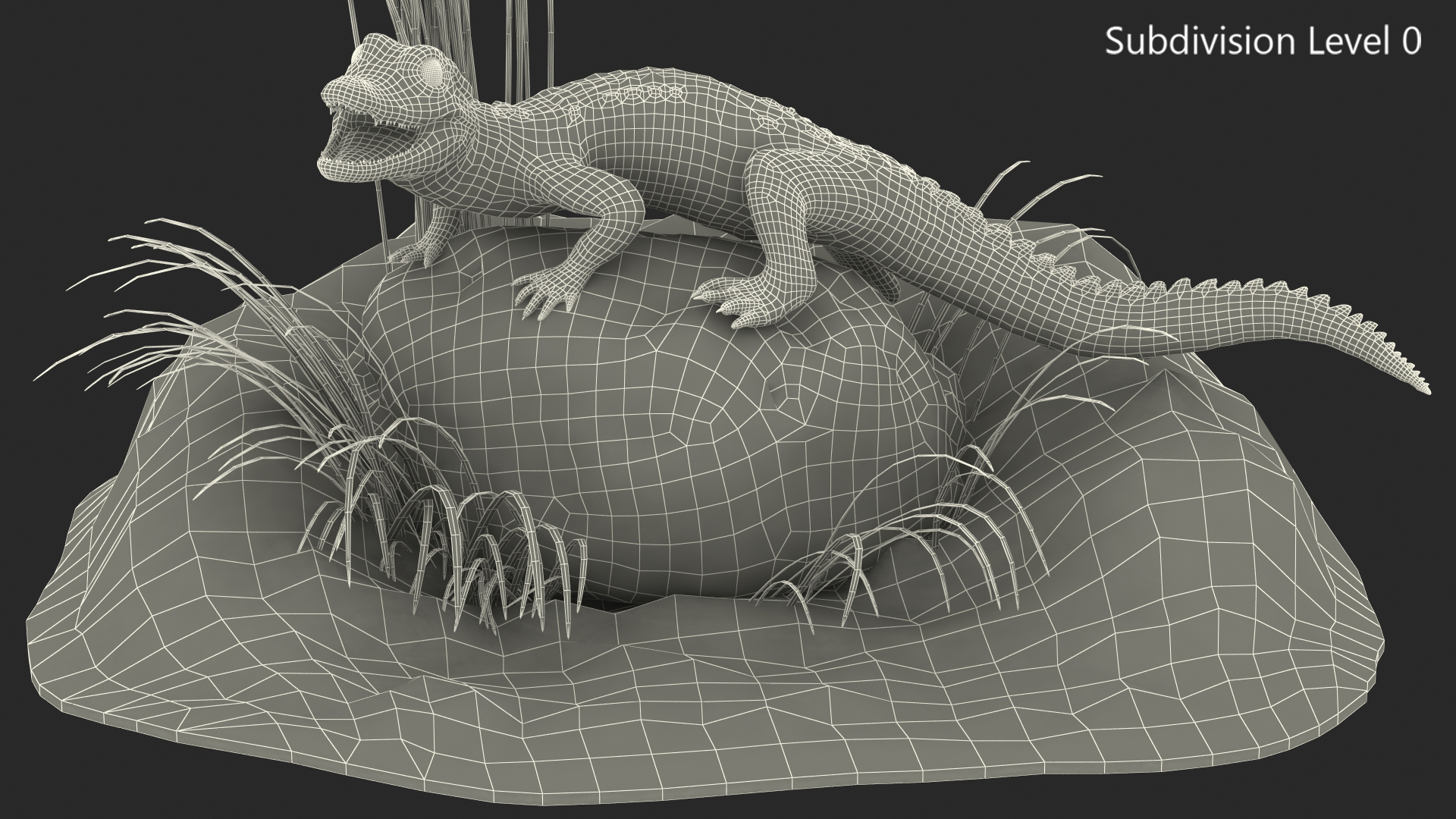 Baby Crocodile Natural Environment 3D model