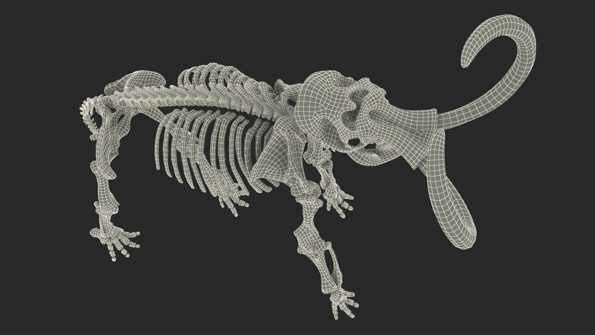 Mammoth Skeleton Clean Bones Standing Pose 3D