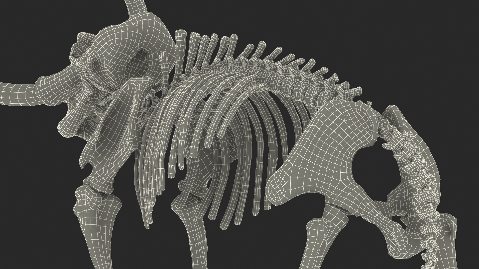 Mammoth Skeleton Clean Bones Standing Pose 3D