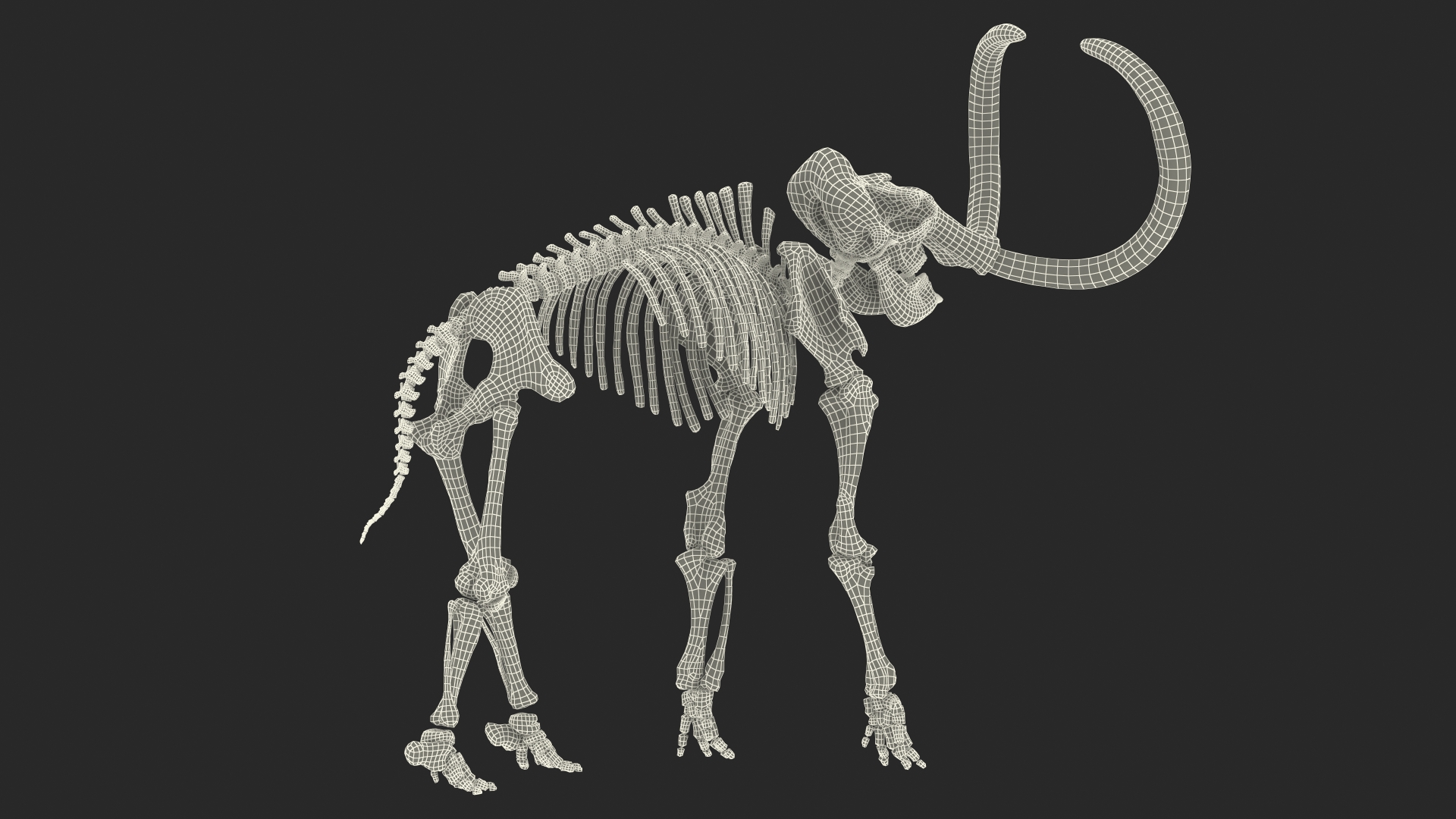 Mammoth Skeleton Clean Bones Standing Pose 3D