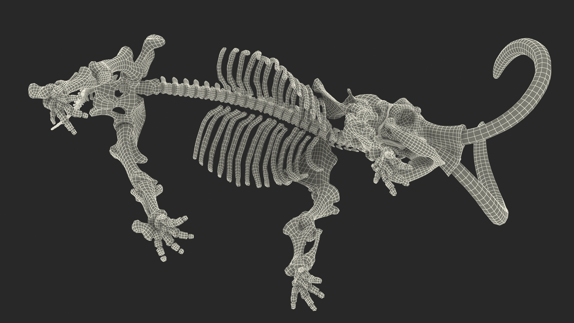 Mammoth Skeleton Clean Bones Standing Pose 3D