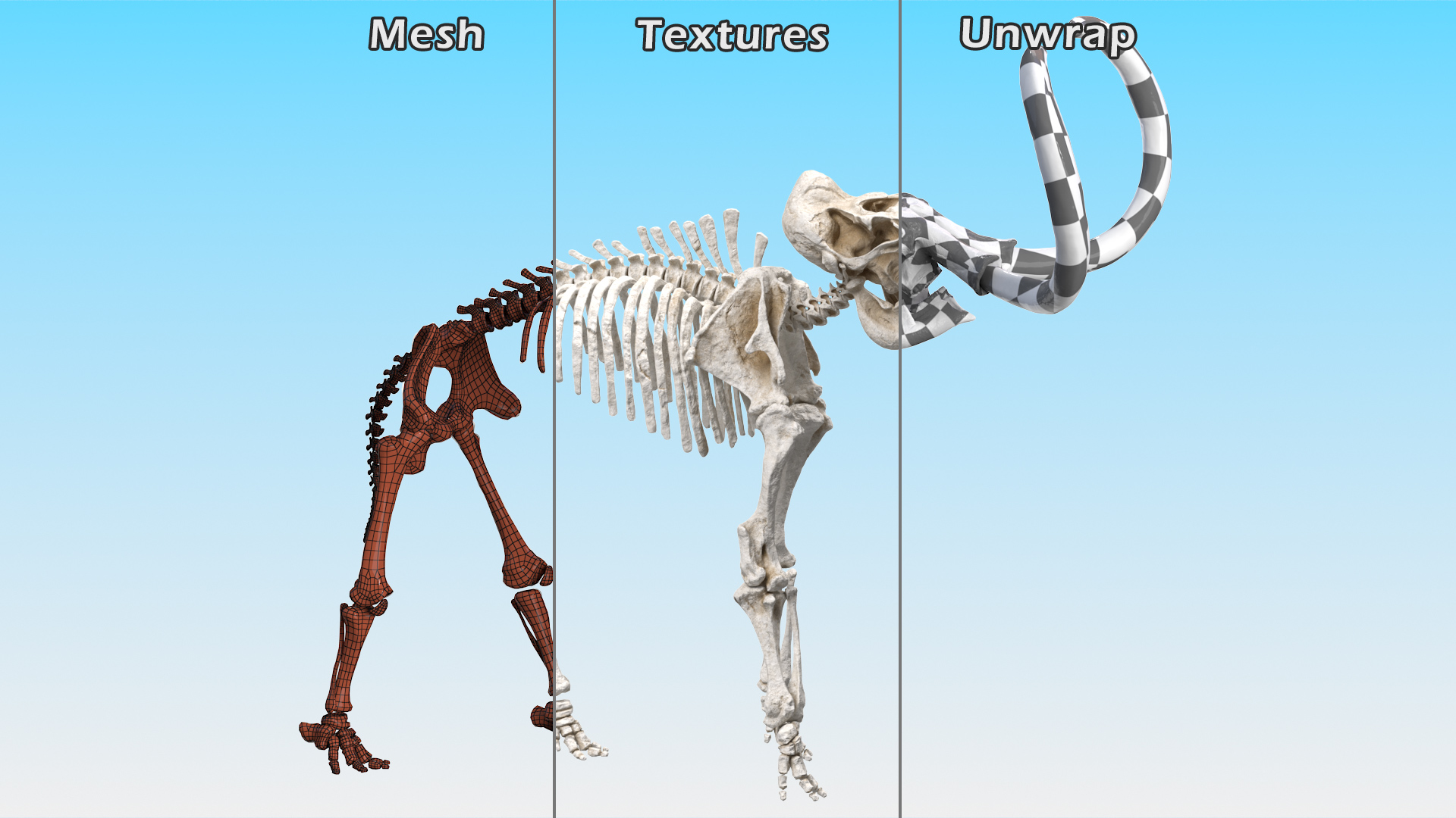 Mammoth Skeleton Clean Bones Standing Pose 3D