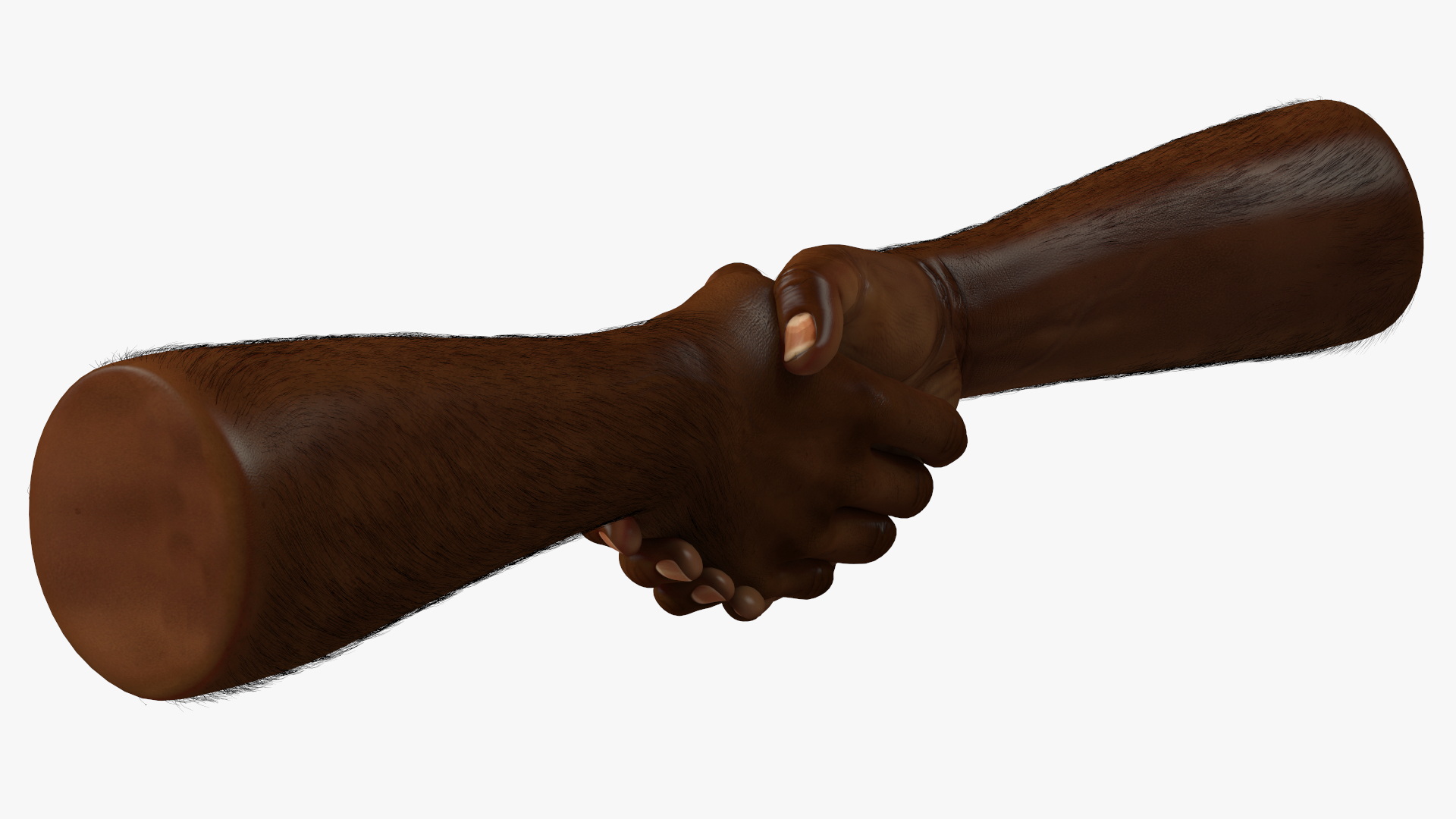 3D Handshake African Man Hands with Fur Rigged model