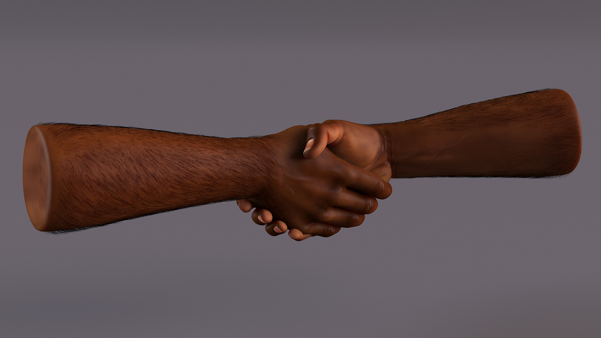 3D Handshake African Man Hands with Fur Rigged model