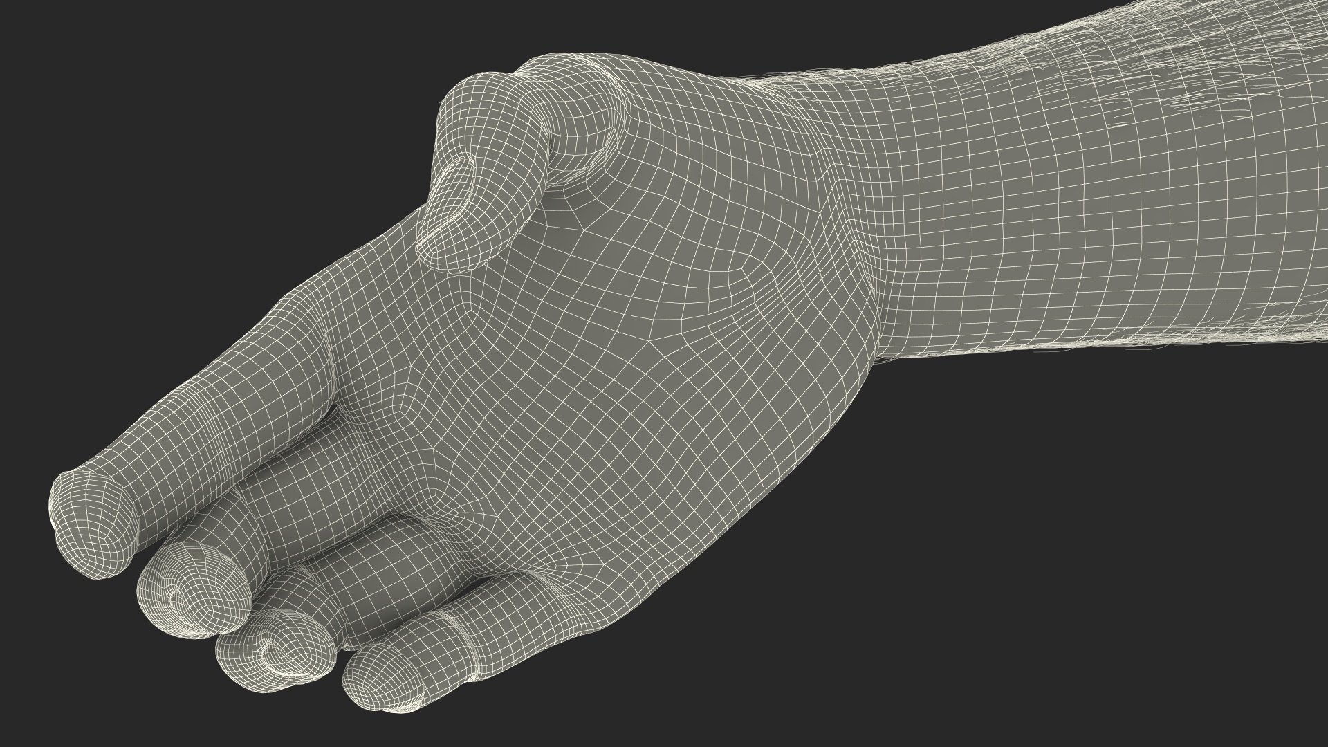 3D Handshake African Man Hands with Fur Rigged model