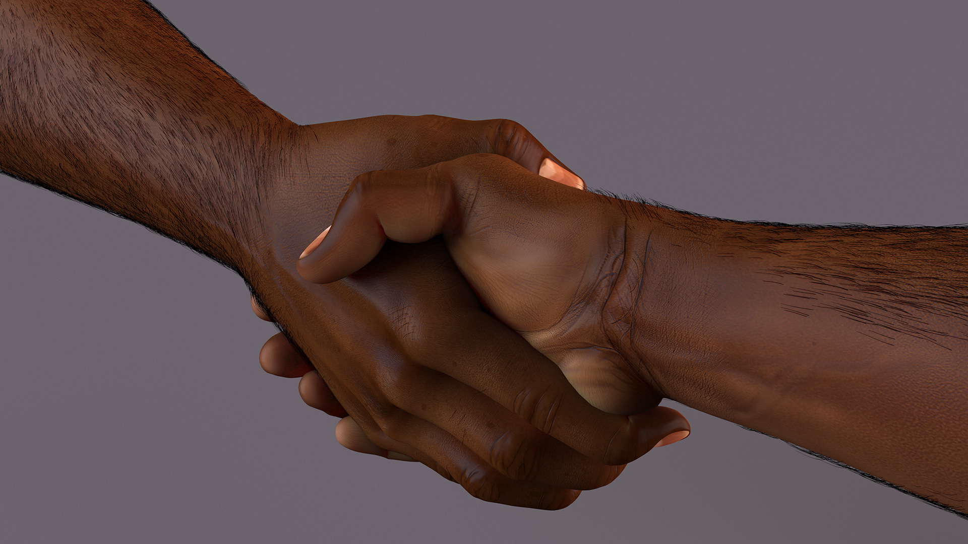 3D Handshake African Man Hands with Fur Rigged model