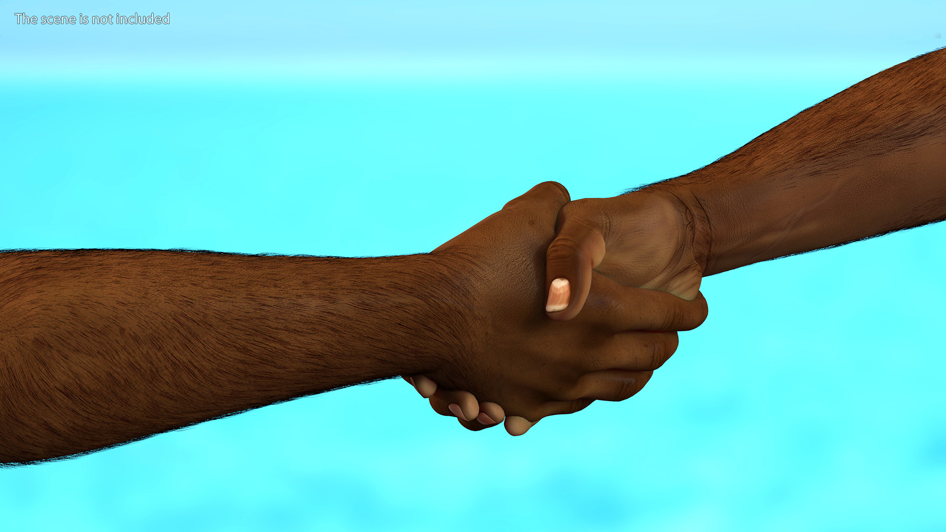 3D Handshake African Man Hands with Fur Rigged model