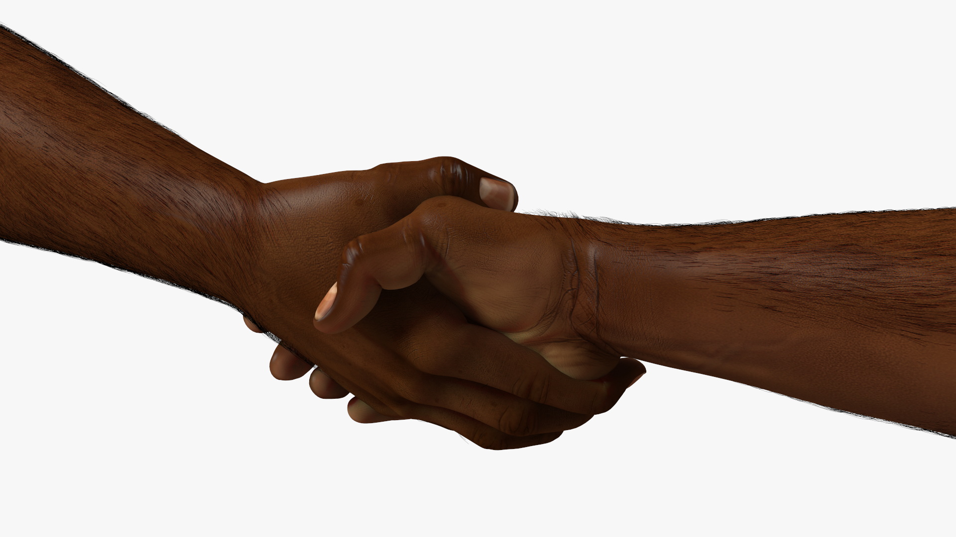 3D Handshake African Man Hands with Fur Rigged model