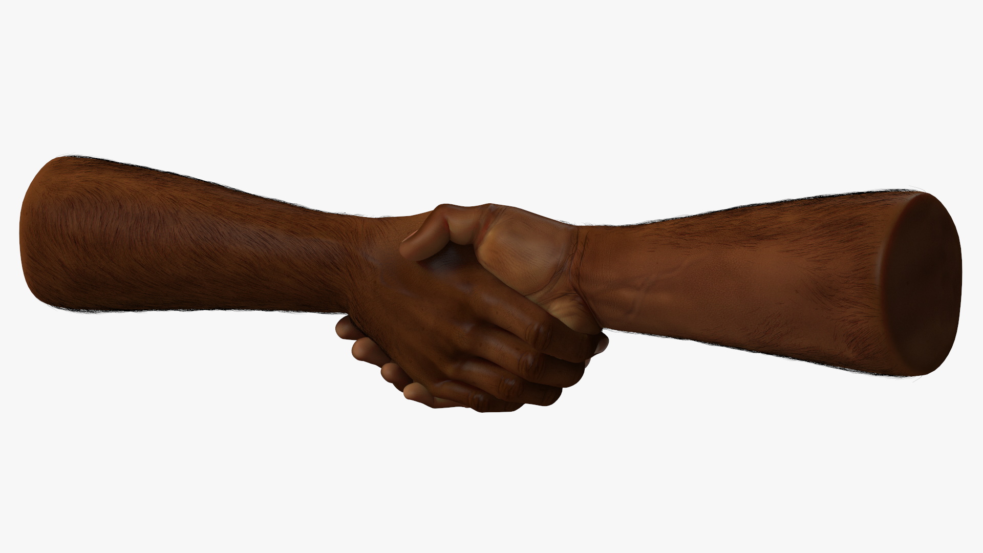 3D Handshake African Man Hands with Fur Rigged model