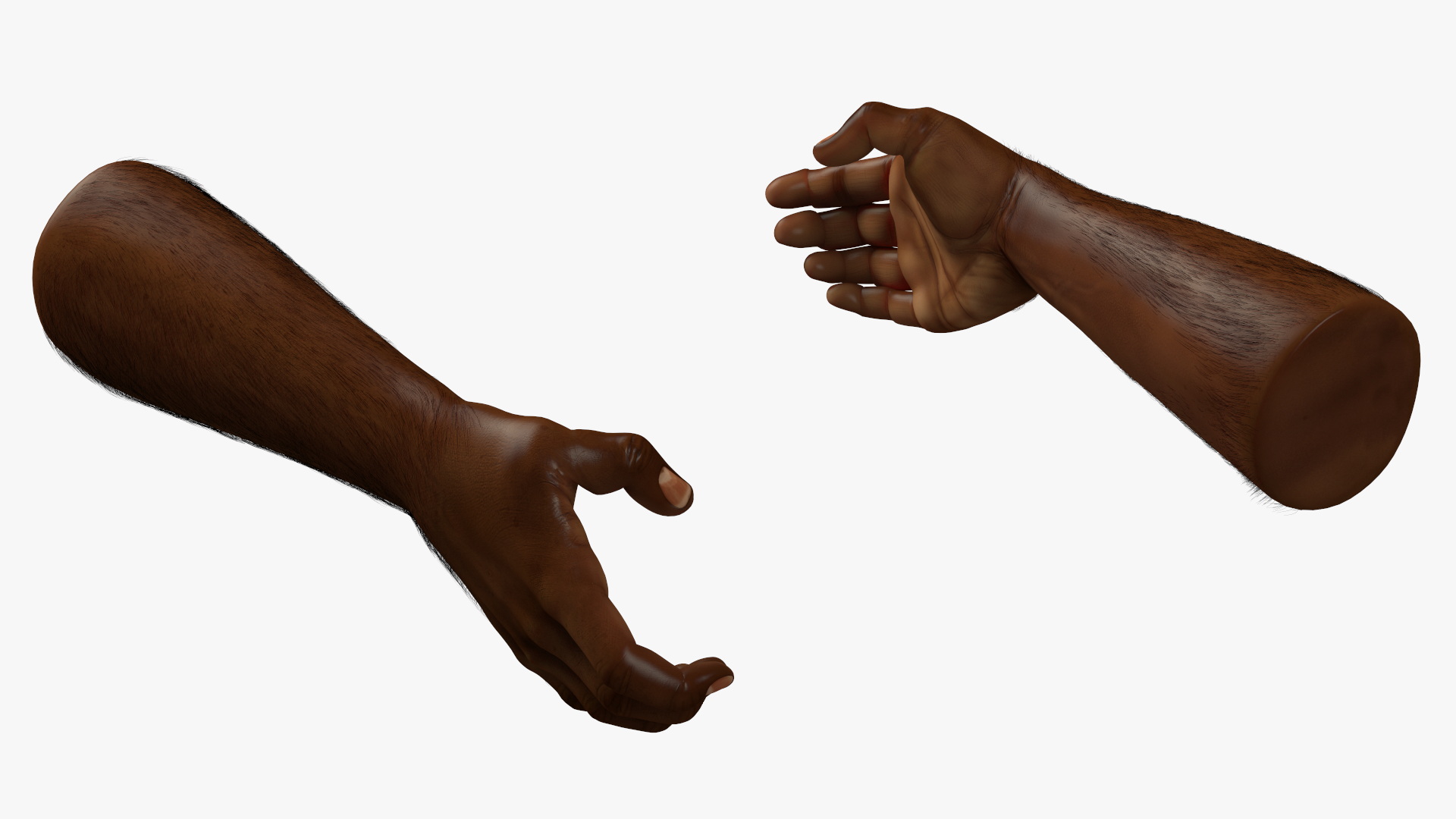 3D Handshake African Man Hands with Fur Rigged model