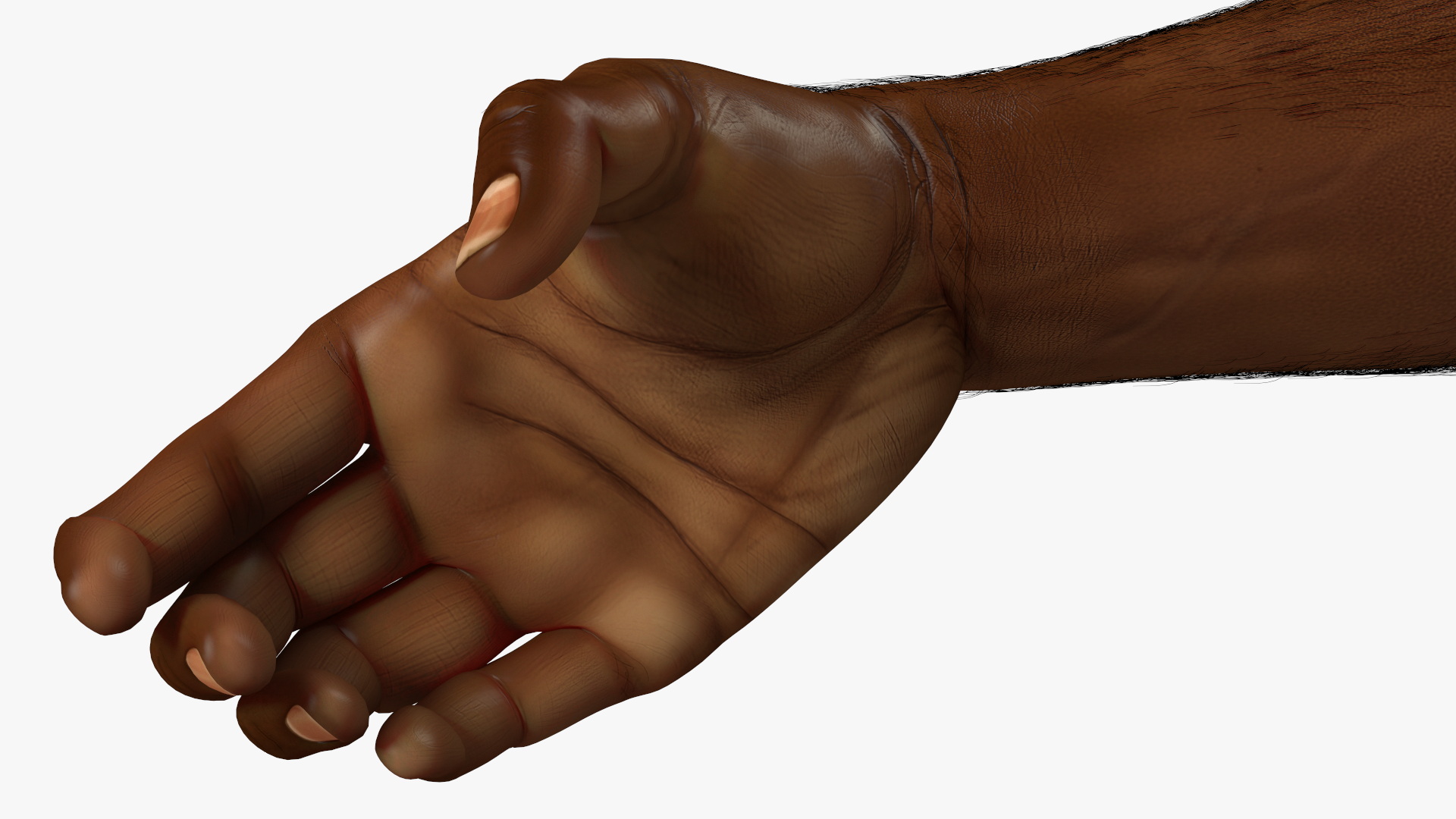 3D Handshake African Man Hands with Fur Rigged model