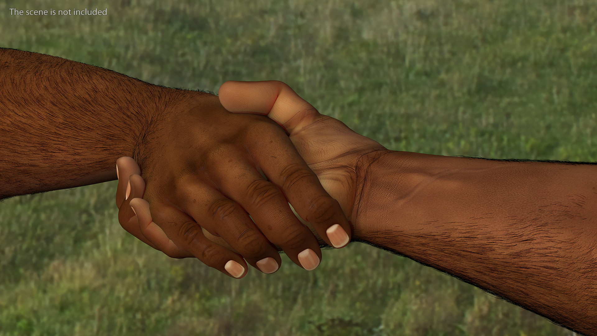 3D Handshake African Man Hands with Fur Rigged model