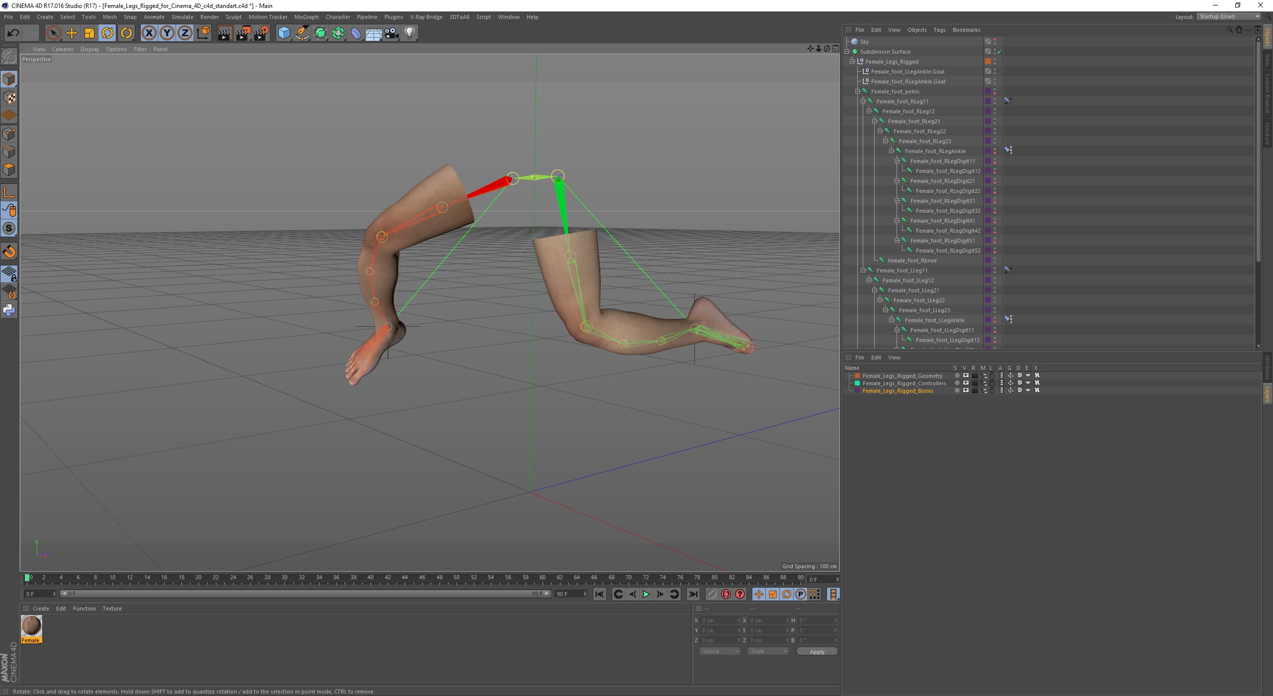 Female Legs Rigged for Cinema 4D 3D