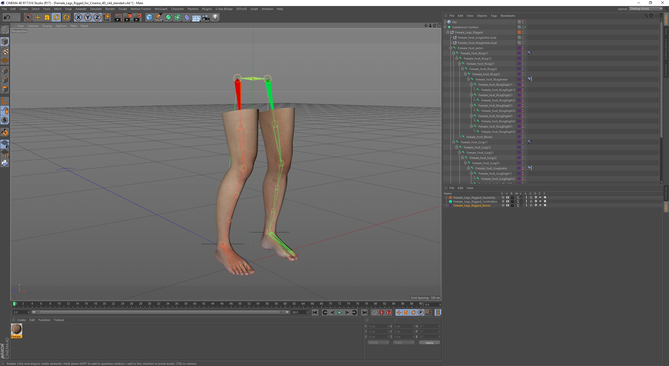 Female Legs Rigged for Cinema 4D 3D