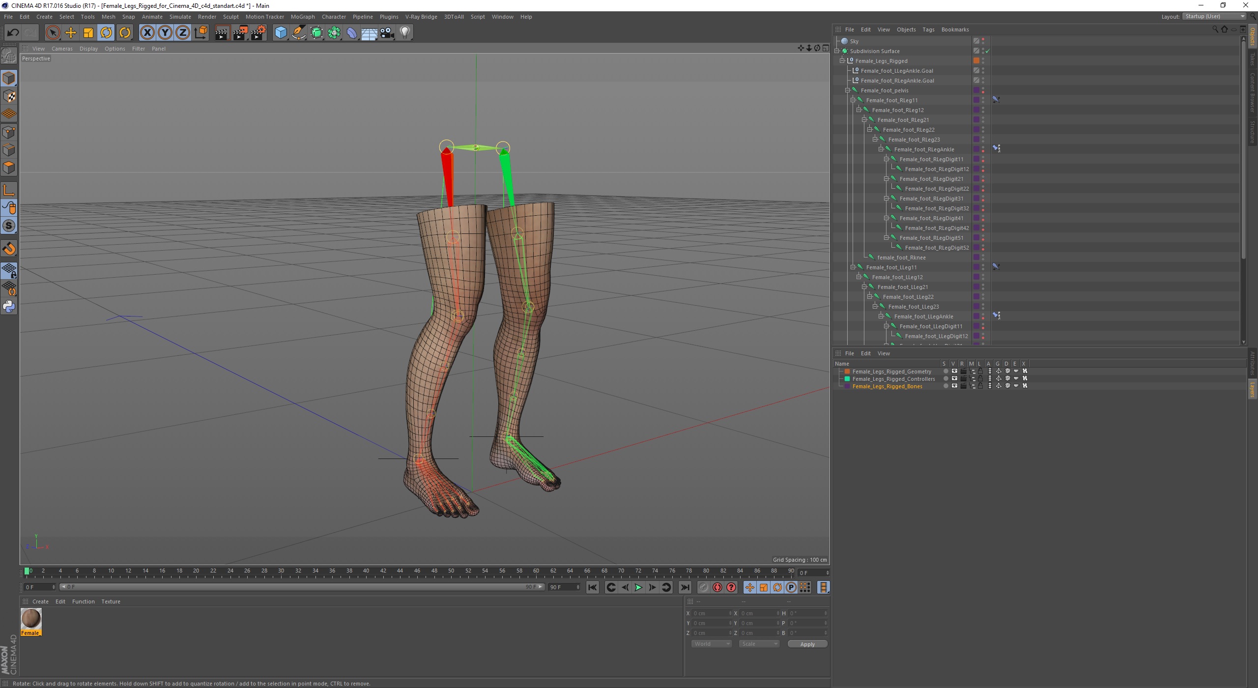 Female Legs Rigged for Cinema 4D 3D