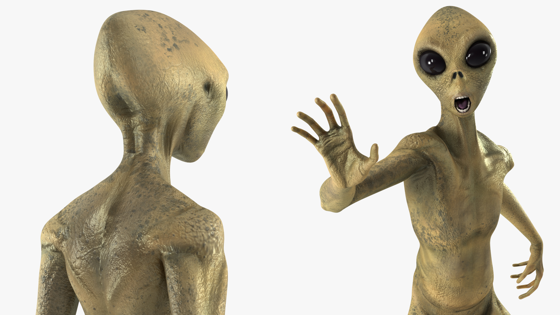 3D model Humanoid Alien Creature Rigged