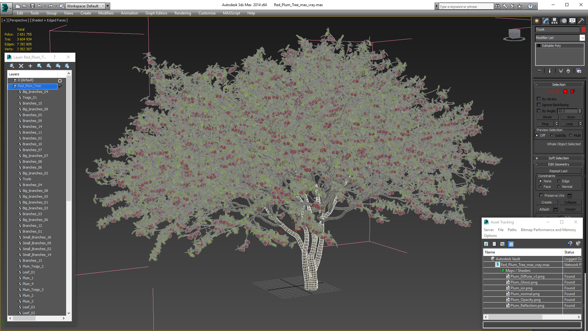 3D Red Plum Tree model