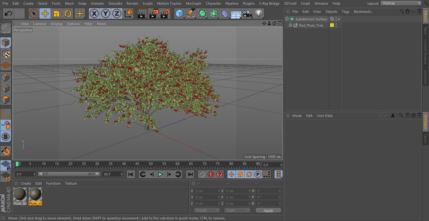 3D Red Plum Tree model