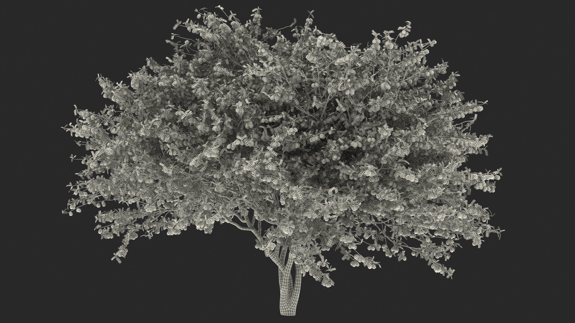 3D Red Plum Tree model