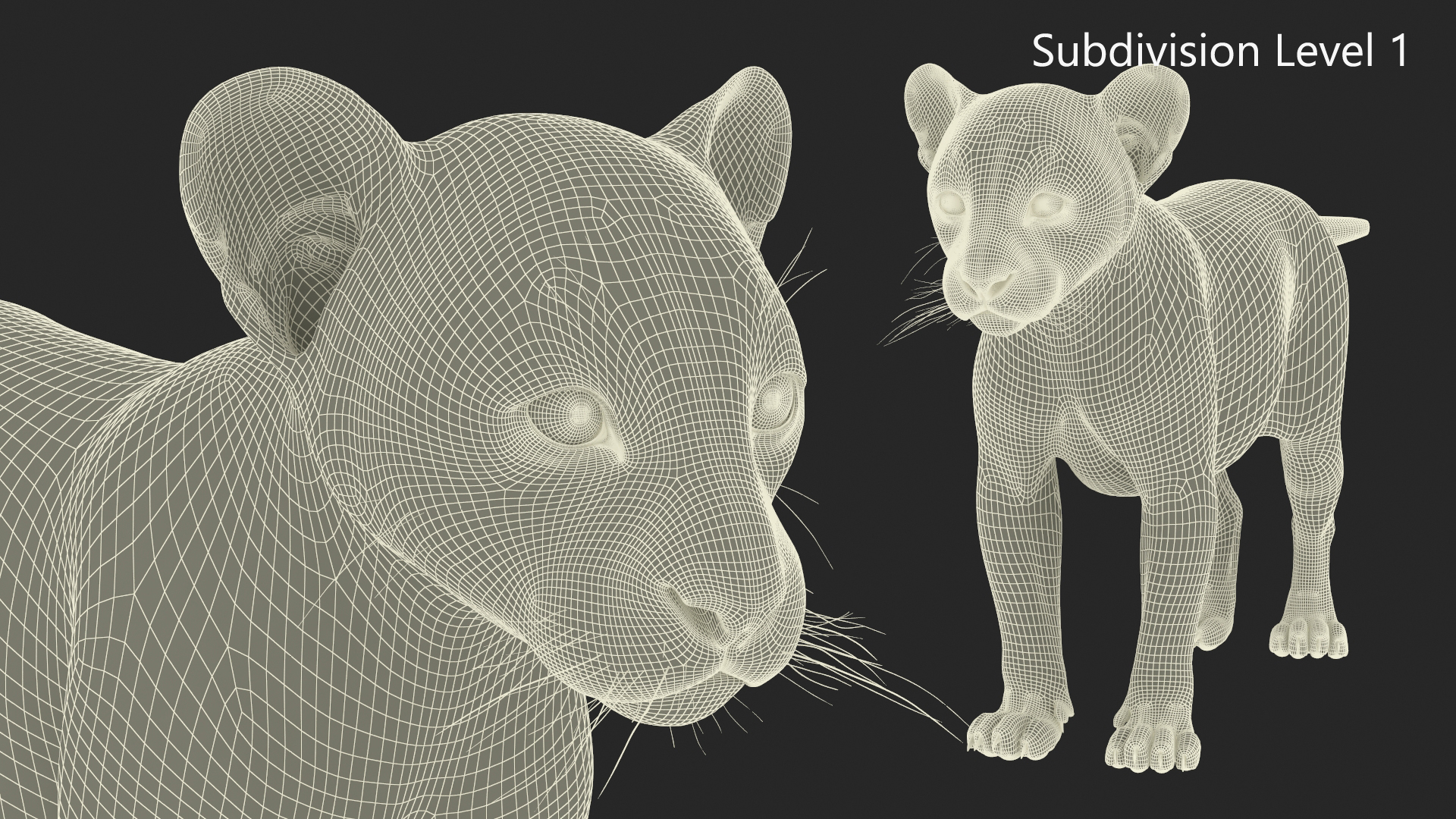 Leopard Cub Rigged with Fur 3D