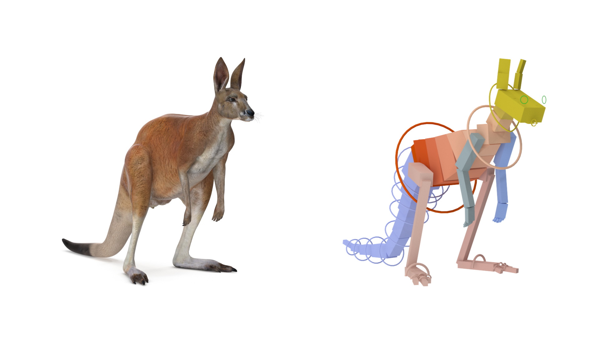 3D model Kangaroo Rigged