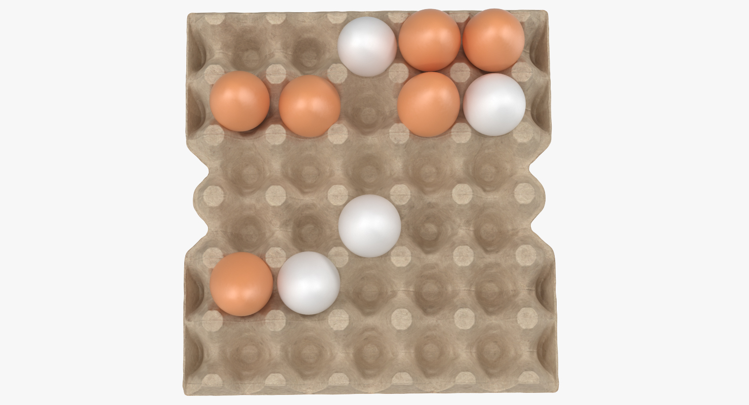 3D model Carton 30 Cells Cardboard with Eggs