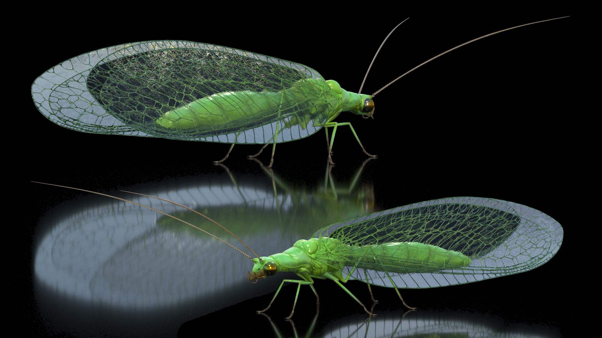 3D model Green Lacewing Rigged for Maya