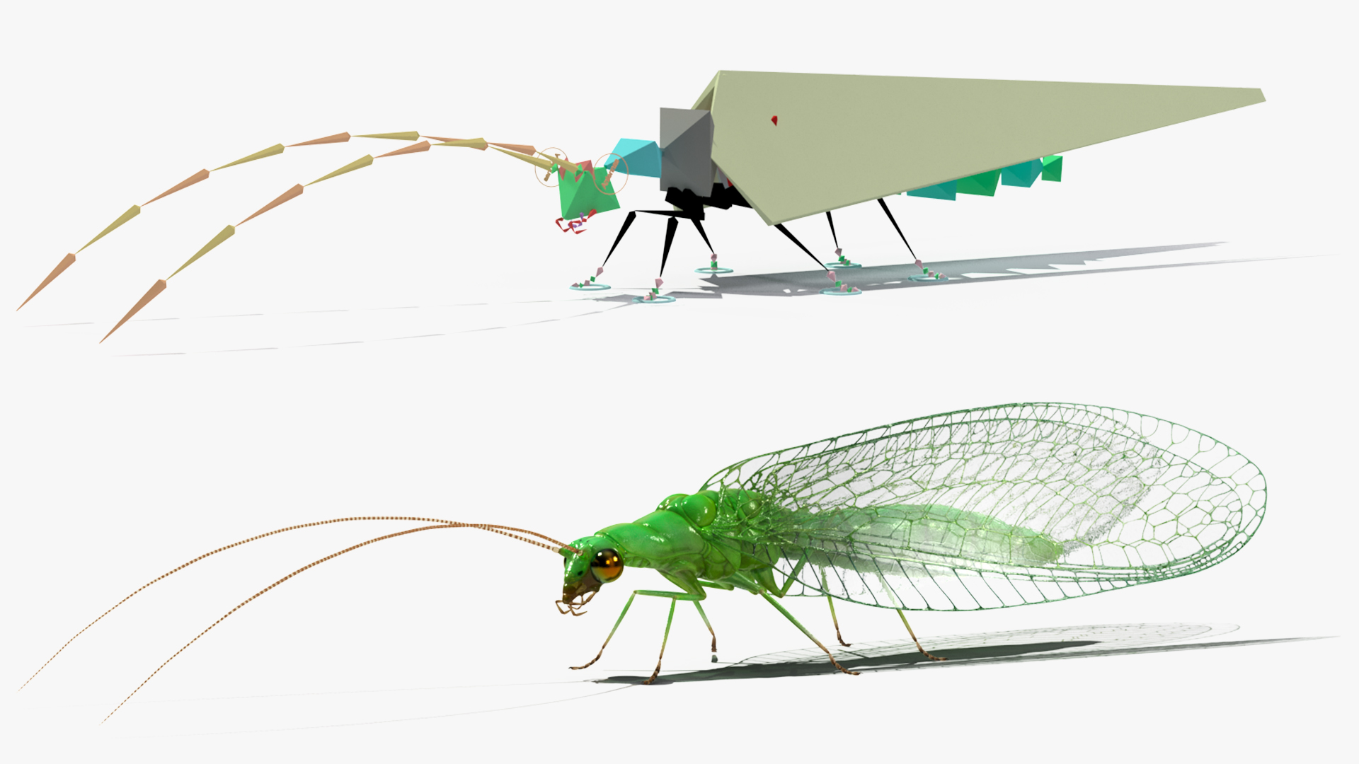 3D model Green Lacewing Rigged for Maya