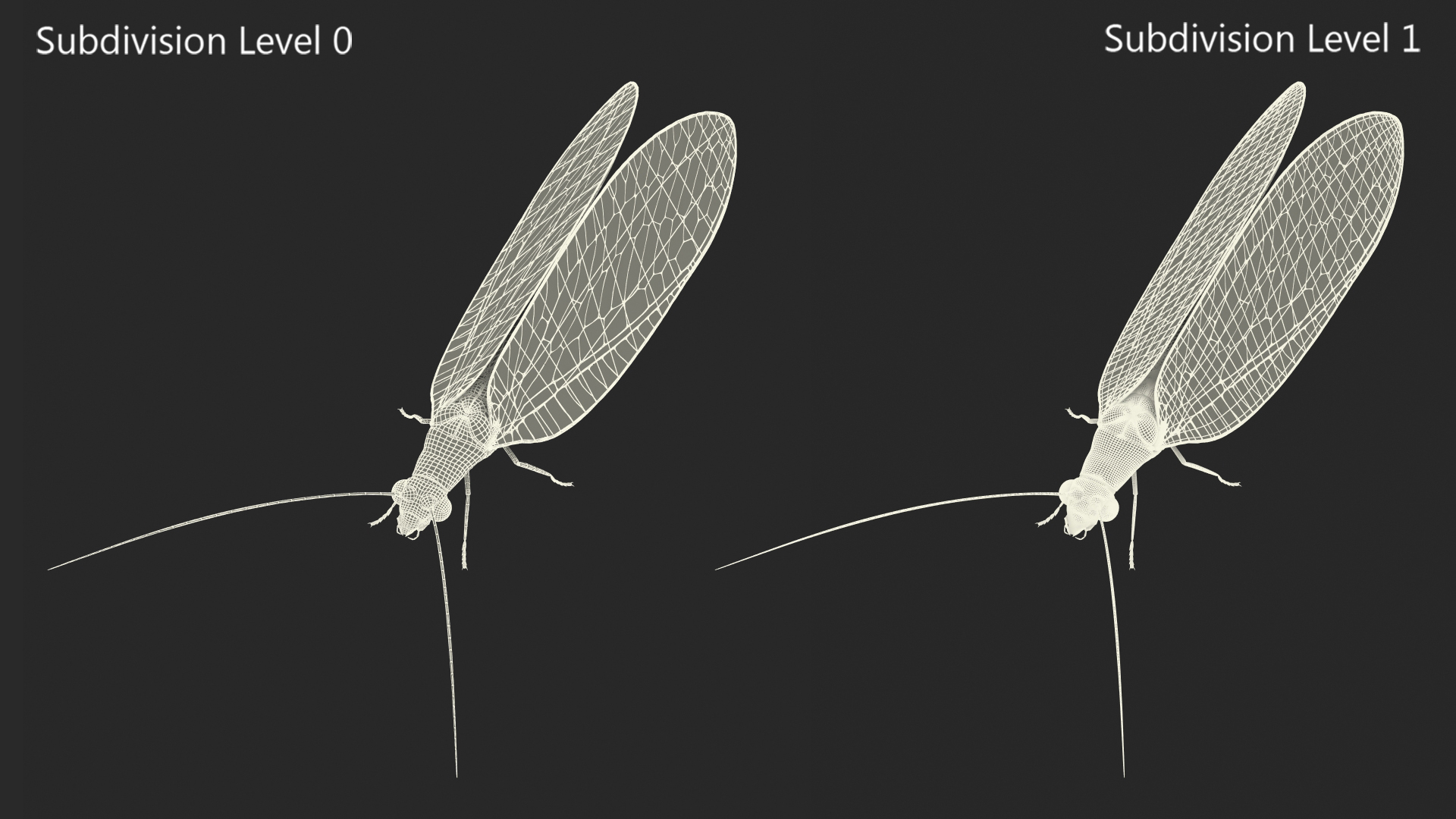 3D model Green Lacewing Rigged for Maya